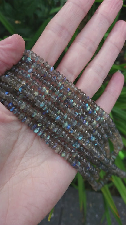 Labradoriet rondells